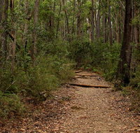 Pigeon House Mountain Didthul walking track - Australia Shopping