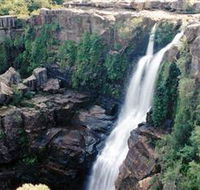 Minnamurra Rainforest Centre Budderoo National Park - Local Tourism