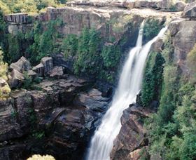 Minnamurra Rainforest Centre: Budderoo National Park - Accommodation Australia 0