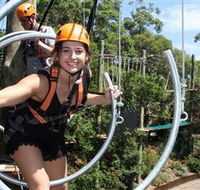 Wild Ropes at Taronga Zoo - Accommodation Australia