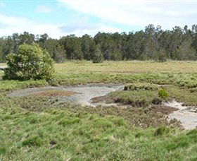 Boondall Wetlands Reserve - Accommodation Australia 1