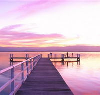 Lake Illawarra - Accommodation Australia