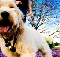 Tuckeroo Park - Accommodation Australia