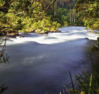 Nymboi-Binderay National Park - Accommodation Australia