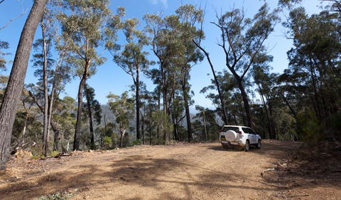 Wadbilliga Road Drive - Accommodation Australia 0