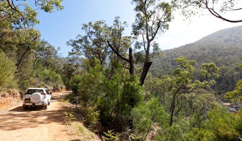 Wadbilliga Road Drive - Accommodation Australia 1