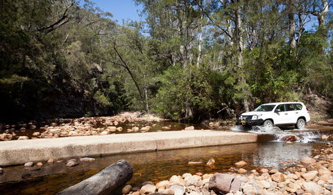 Wadbilliga Road Drive - Accommodation Australia 2