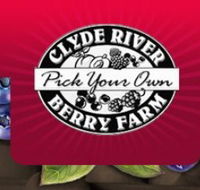 Clyde River Berry Farm - Accommodation Australia