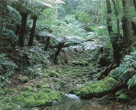 The Corn Trail Walk - Australia Shopping 0