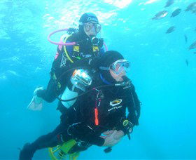 Shellharbour Scuba & Photography Centre - Accommodation Australia 1