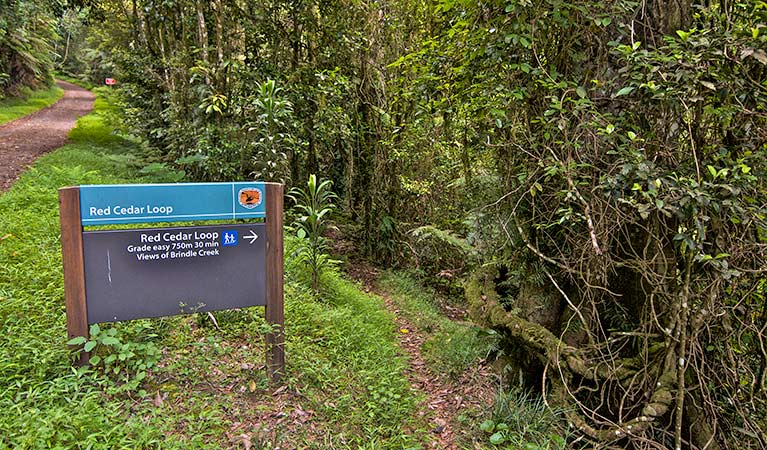 Border Ranges NSW Local Tourism