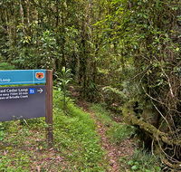 Red Cedar loop - Local Tourism