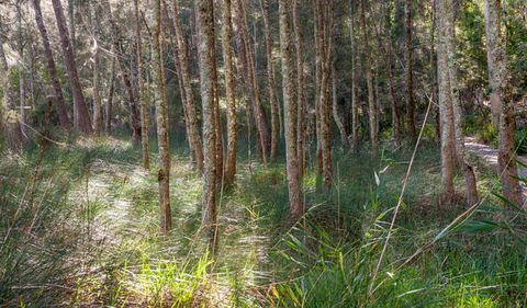Anabranch Loop Track - Accommodation Australia 0