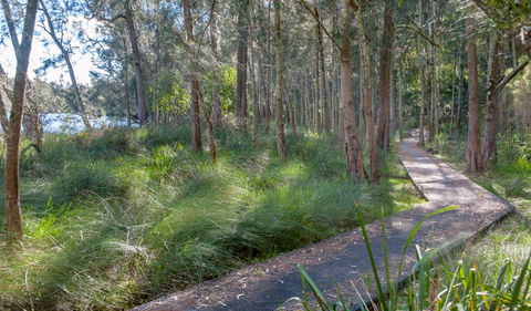 Anabranch Loop Track - Accommodation Australia 3