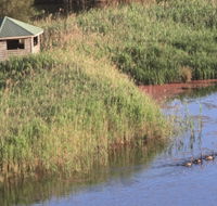 Spring Creek Bird Hide - Accommodation Australia
