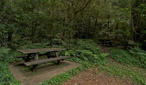 Brindle Creek Picnic Area - Local Tourism 2