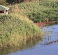Spring Creek Wetlands Walk - Accommodation Australia