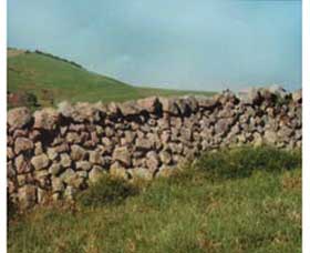 Historic Dry Stone Walls - Local Tourism 0