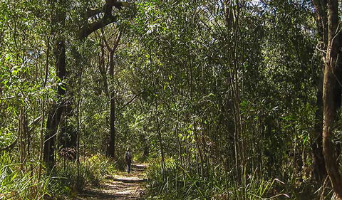 Sand Track Walk (south) - Accommodation Australia 0