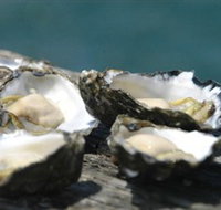 Jim Wilds Oyster Service - Local Tourism