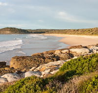 Burrawang track - Conjola Beach to Buckleys Point - Accommodation Australia