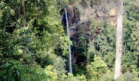 Boorganna Nature Reserve - Accommodation Australia 2