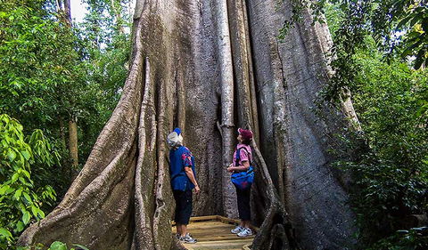 Wingham Brush Nature Reserve - Accommodation Australia 1