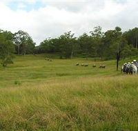 Numinbah Valley Adventure Trails - Local Tourism