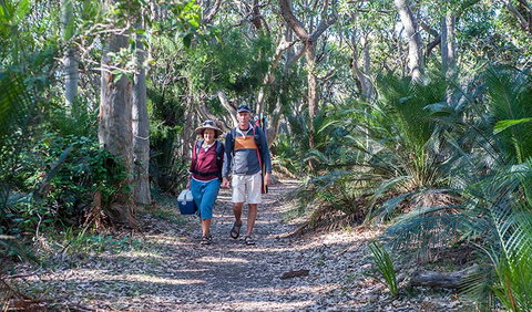 Myrtle Beach Walking Track - Local Tourism 0