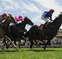 Moruya Racecourse - Accommodation Australia