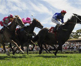 Moruya Racecourse - Accommodation Australia 0