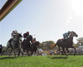 Moruya Racecourse - Accommodation Australia 1