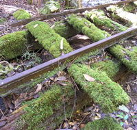 Wootton Historical Railway Walk - Local Tourism