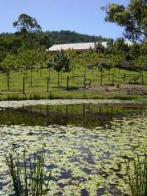 Mount Nathan Winery - Local Tourism 2