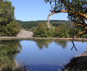 Oak Grove Walk, Balingup - Bed n Breakfasts 0