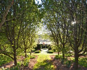 All Saints Garden - Local Tourism 4