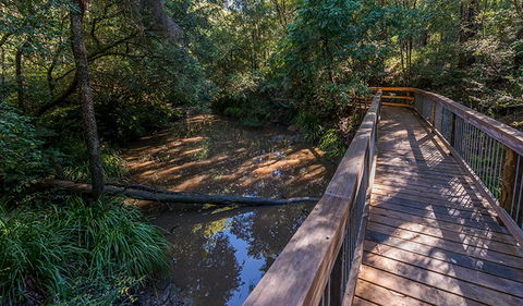 Ms Kellys Walking Track - Local Tourism 0
