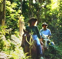 Clarendon Forest Retreat Horse Riding - Local Tourism