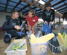 Dolphin Discovery Centre - Accommodation Australia 1