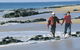 Back Beach - thumb 1