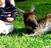 Bunbury Wildlife Park - Accommodation Australia