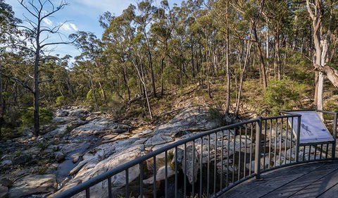 Myanba Gorge Walking Track - Accommodation Australia 0