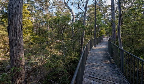 Myanba Gorge Walking Track - Accommodation Australia 1