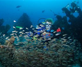 Aarhus Dive Site - Accommodation Australia 0