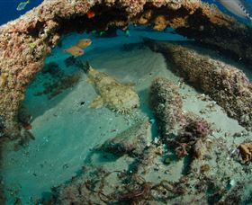 Aarhus Dive Site - Accommodation Australia 3
