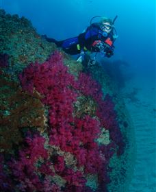Aarhus Dive Site - Accommodation Australia 2