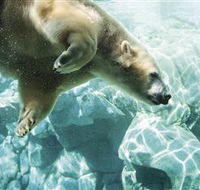 Australia's Sea World - Local Tourism