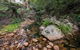 Biamanga National Park - thumb 2