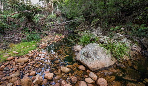 Biamanga National Park - Accommodation Australia 2