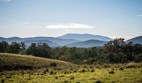 Biamanga National Park - Accommodation Australia 3